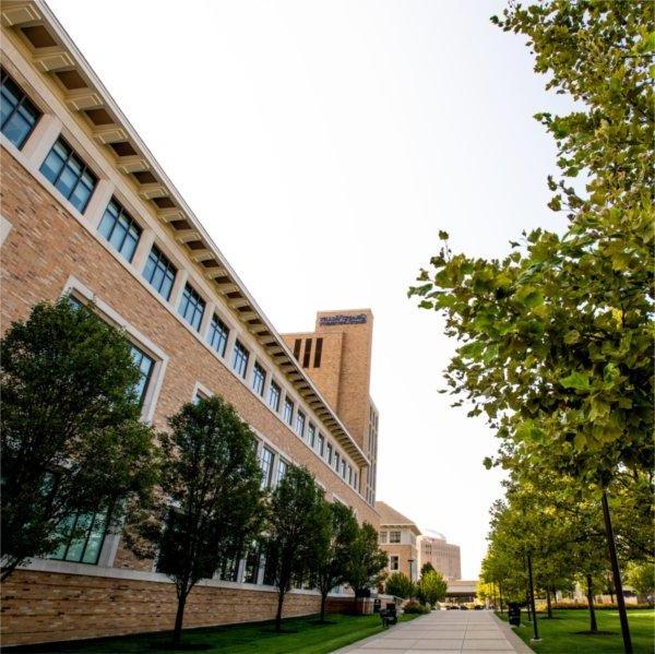 exterior photo of Seidman Center, green trees and sidewalk extends through center of photo